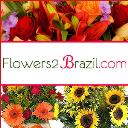 flowers2brazil logo